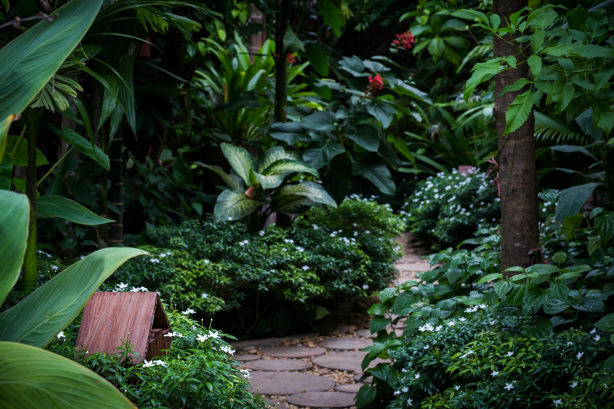 Malu Khmer Villa Siem Reap Eksteriør bilde